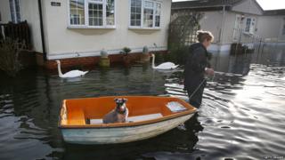 Archie the dog in boat