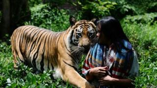 Abdullah Sholeh and Bengal tiger Mulan Jamilah.