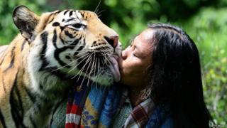 Abdullah Sholeh and Bengal tiger Mulan Jamilah