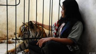 Abdullah Sholeh and Bengal tiger Mulan Jamilah behind his enclosure.