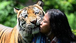 Abdullah Sholeh hugging his best friend Mulan Jamilah, a Bengal tiger.