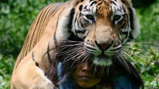 Abdullah Sholeh and Bengal tiger Mulan Jamilah.
