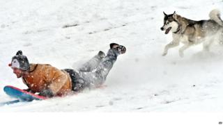 A man and his dog sliding down a snow covered hill