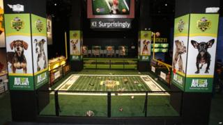 Puppy Bowl