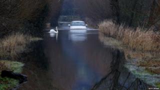 Car drives through flooded road