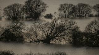 Flooded fields surrounding the River Tone that has burst its banks on the Somerset Levels.