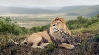 Big Cat, Little Cat