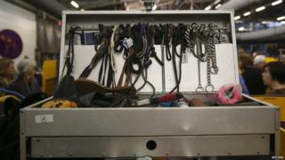 Dog collars and leashes