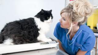Nurse Amanda Shearsby with Lucky the cat