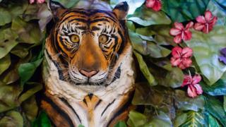 Tiger cake