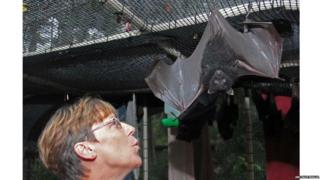 It’s hoped they’ll be released back into the wild soon.