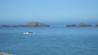 Rocky cliffs in the distance