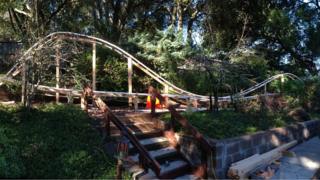 Back yard rollercoaster