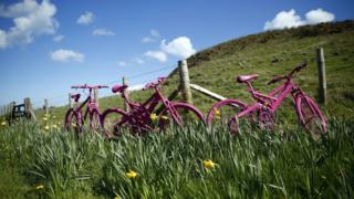 Pink bicycles.
