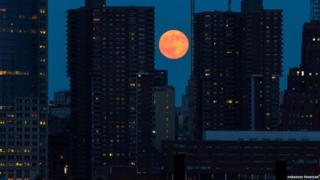 A large orange coloured moon is captured between two skyscrapers.