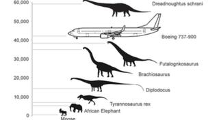 Titanosaur