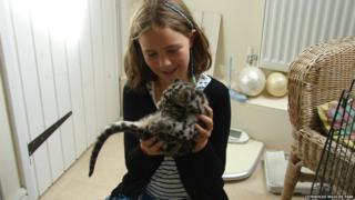 Nimbus the clouded leopard in a bathroom