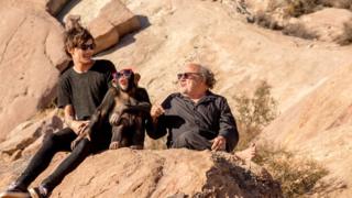 Nice glasses on the chimp - with Louis and Danny de Vito