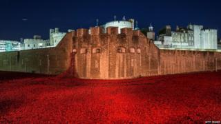 Ceramic poppies at the Tower of London