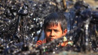 A child near oil-covered plants
