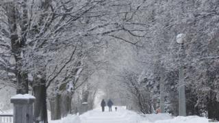 And it's not just the USA - this is Ottawa in Canada. It's not looking to get much warmer, with forecasters warning temperatures could drop as low as -45C in areas.