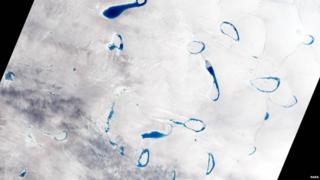 Melt Ponds in Greenland