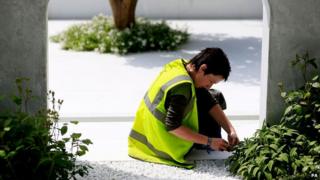 Gardener at Chelsea Flower Show