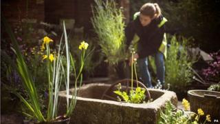 The Haven artisan garden at the Chelsea Flower Show