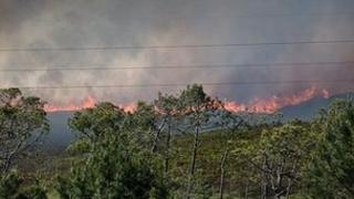 The fire at Upton Heath