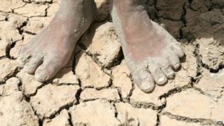 Cracked earth