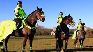 Norfolk's special officers on horseback