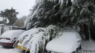 Tree falling on cars in Les Quennevais Park, St Brelade