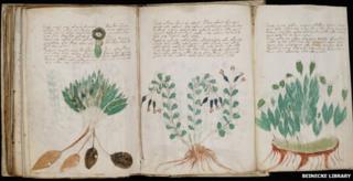 Voynich manuscript