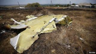 MH17 crash site