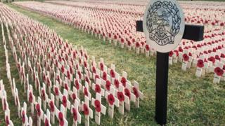 Field of Remembrance in Winchester