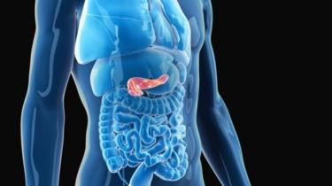 肺炎疫情：哪些人群最脆弱且重症风险最高