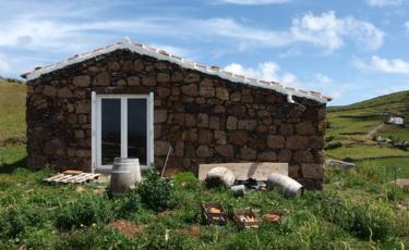 Hiker's hut