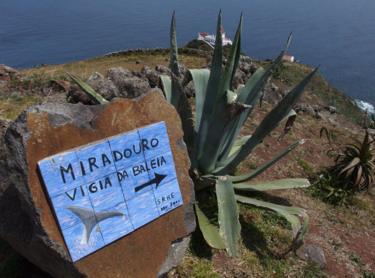 Sign pointing to whale-watching location