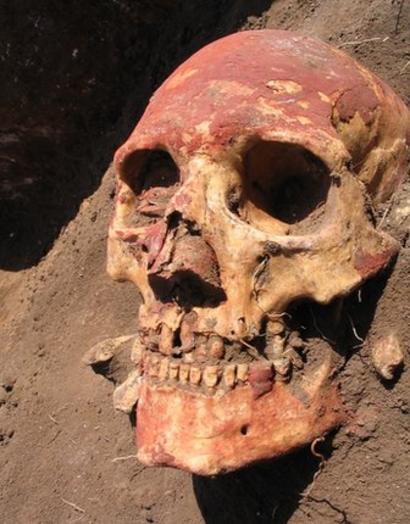The Yamnaya people had an important impact on the genetics of northern and central Europe