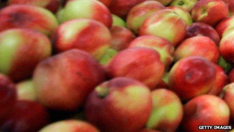 Apples