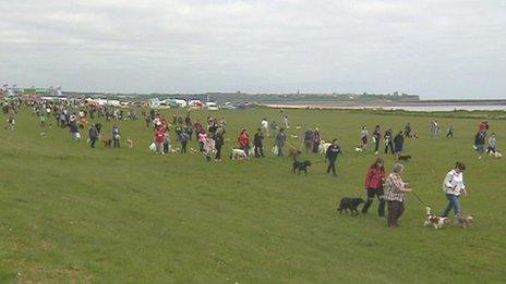 Dogs Near South Shields Dogs Near South Shields