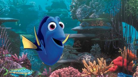 Dory