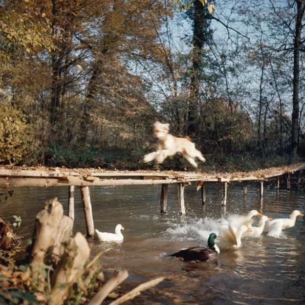 Loisy, Paris, October 1964