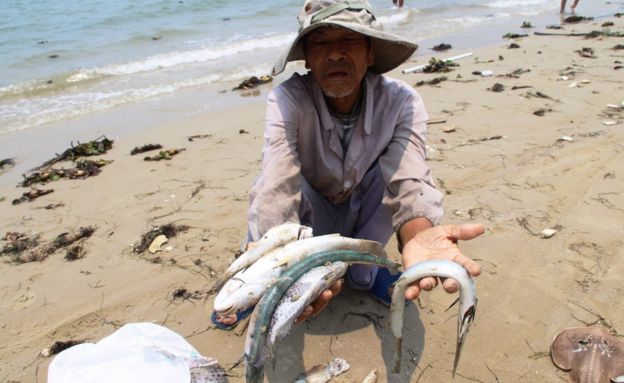 A villager shows dead sea fish he collected o­n a beach in Phu Loc district, in the central province of Thua Thien Hue o­n April 21, 2016