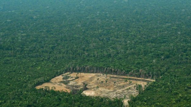 Desmatamento da Amazônia, em foto de 2018