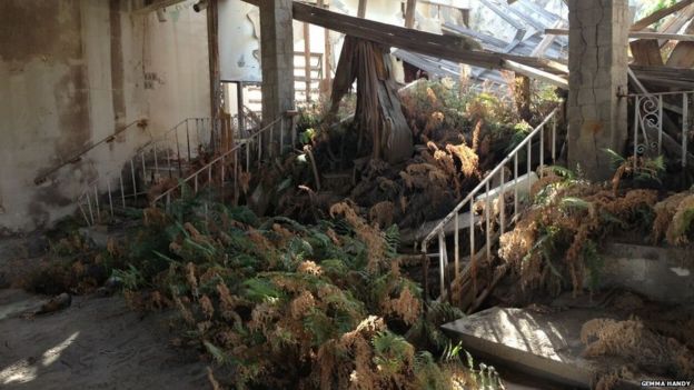 Plants can be seen growing inside the ruins of the Montserrat Springs hotel