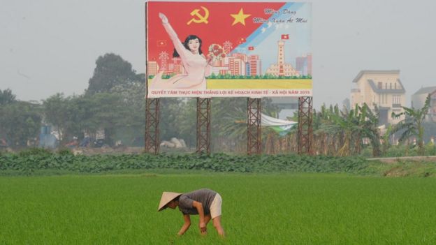 Farmer working in rice field with communist poster in the background