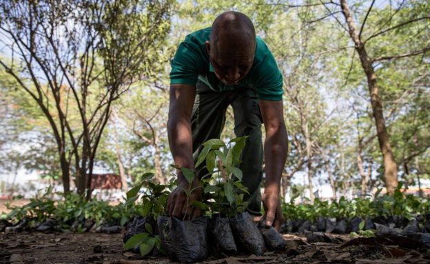 Africa S Week In Pictures June Bbc News