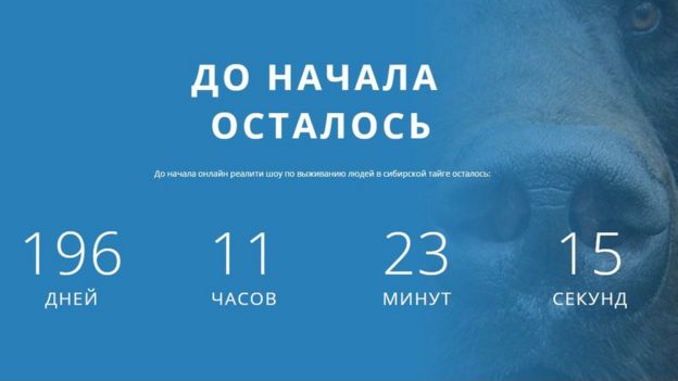 Game2: Winter website