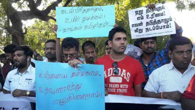 இலங்கையில் எதிரொலிக்கும் ஜல்லிக்கட்டு போராட்டம்